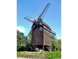 Die kastenförmige, vierflügelige Bockwindmühle im Museumspark. Sie ruht als Ganzes auf dem drehbaren Bock, der ihr den Namen gibt. 