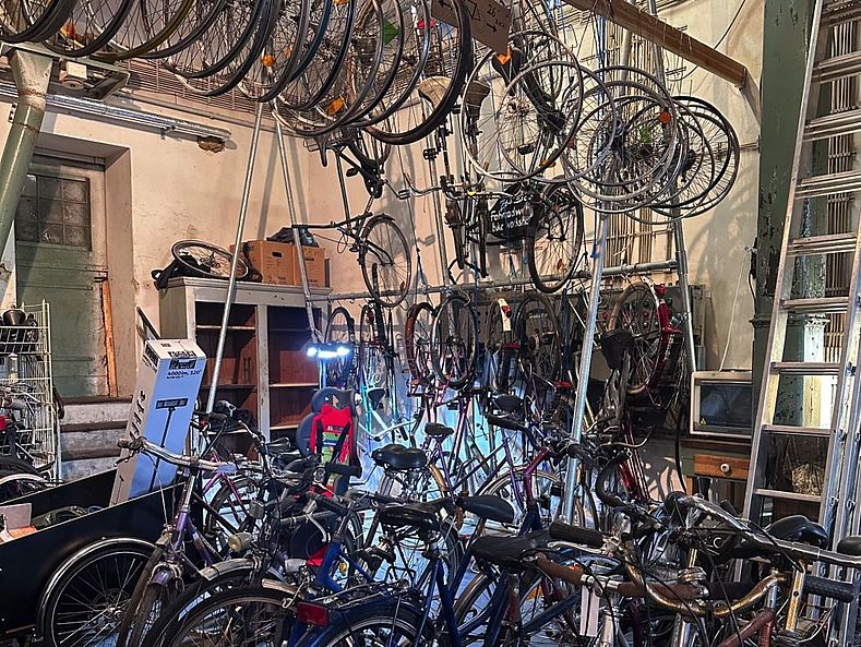 Eine Fahrradwerkstatt mit zahlreichen aufgereihten Fahrrädern und Ersatzteilen. Fahrräder und Felgen hängen an Gestellen und von der Decke, umgeben von Werkzeugen, Regalen und einer Leiter.