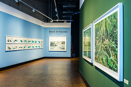 Blick in die Ausstellung "Signs of Change", links hängen Fotos an einer hellblauen Wand, rechts an einer dunkelgrünen Wand.
