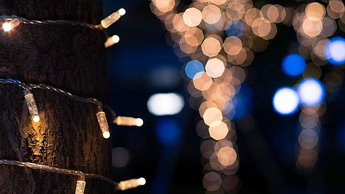 Kleine LED-Lämpchen um einen Baumstamm, im Hintergrund verschwommene Lichter
