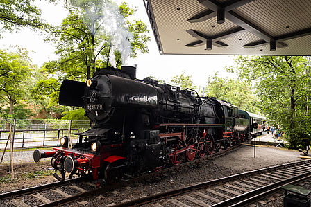 Eine schwarze Dampflok fährt auf einen Bahnsteig ein. Im Hintergrund Grün.
