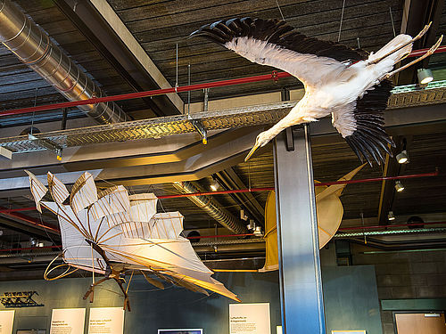 An der Raumdecke sind ein Gleitapparat von Otto Lilienthal und ein ausgestopfter Storch mit ausgebreiteten Flügeln aufgehängt. Der Gleitapparat besteht aus einer mit Stoff bespannten Holzkonstruktion.