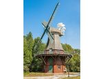 Holländermühle im Museumspark im Sommer. Die umliegenden Bäume sind leicht grün gefärbt. 