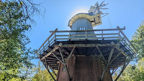 Holländermühle im Museumspark im Frühjahr. Die umliegenden Bäume sind leicht grün gefärbt, der Himmel strahlt blau..