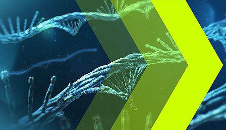 Drei gelbe Pfeile mit unterschiedlicher Transparenz vor blauen mRNA-Molekülen.
