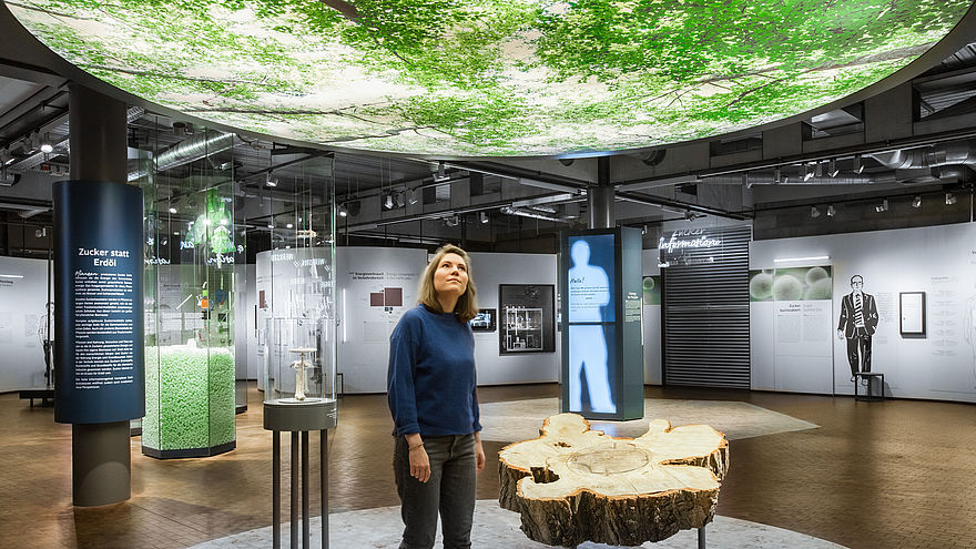 Eine junge Frau läuft durch den Ausstellungsbereich „Zucker sind überall“. An der Decke befindet sich ein großes hinterleuchtetes Foto. Darauf ist das grüne Blätterdach eines Waldes zu sehen. Am Fußboden befindet sich die Baumscheibe einer Pappel.