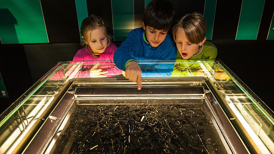 Unter einer am Rand beleuchteten Glasabdeckung befindet sich eine schwarze Fläche, über der viele verschiedene kleine weiße Streifen zu sehen sind. Drei Kinder schauen auf diese Streifen. Das Kind in der Mitte zeigt auf die Streifen.